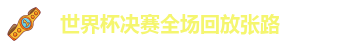 世界杯决赛全场回放张路
